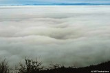 D2x2007-12-14_105.jpg