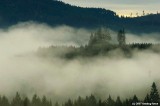 D2x2007-12-14_121.jpg