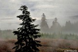 D2x2007-12-14_131.jpg