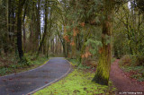 Woodland Trail on left, Pre Trail on right