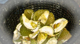 Durian-4232.jpg