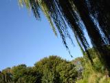 DSC00404.jpg