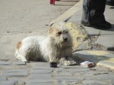 a tired shopper taking a cigarette break