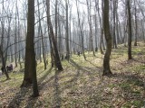 heading up a hill to another of the many grave sites