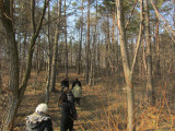 into the forest near Olesko