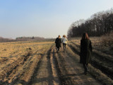 walking back to the cars and bus, a time to think about what we've seen today