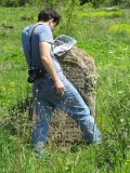 back in the old cemetery, documenting the existing stones