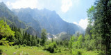 panorama: in the Logarska Dolina