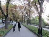 walking down the tree-lined cliff-top Prymorsky blvd