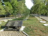 the trees memorialize non-Jews who sheltered and saved Jews during the war