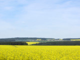 Bohemian Family Towns 2012