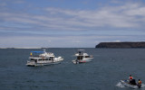 Day Boat at Anchor