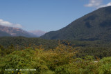 View up the Cascade towards Red Hills from Jackson River Road