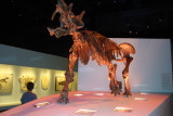 DSC08632.JPG