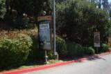 DSC08745.JPG