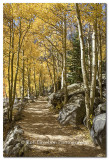 Colorado Fall Colors and other scenes from the Rocky Mountains