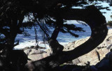 Monterey Bay,California