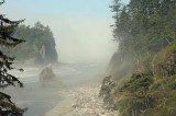 Pacific coast,Olympic NP