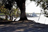 a long wait at this Delta draw bridge