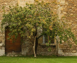Courtyard Lacock Abbey.jpg