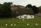 Avebury Farm.jpg