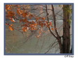 River in Autumn.jpg