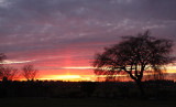 Forest Lawn Sunset2.jpg