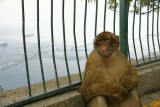 DSC03107.JPG