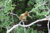 DSC03117.JPG