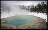 IMG_2302.4.jpg