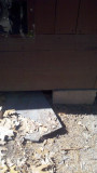 2011-03-26_12-33-56_631.jpg