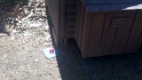 2011-03-26_12-26-07_903.jpg
