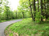 IMG_0812 (Small).JPG