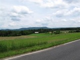 IMG_1112 (Small).JPG