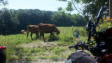 2011-07-16_10-31-15_328 (Small).jpg