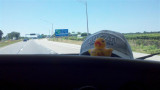 2011-07-30_13-13-37_215 (Small).jpg