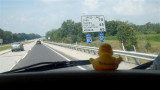 2011-08-01_12-10-04_339 (Small).jpg