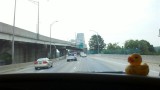 2011-08-05_11-36-37_326 (Small).jpg