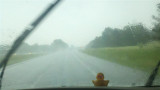 2011-08-07_16-45-04_217 (Small).jpg