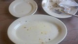 2011-08-21_10-21-08_561 (Small).jpg