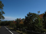 IMG_3150 (Small).JPG