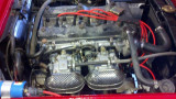 Alfa