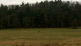 2011-12-06_12-31-23_173 (Small).jpg