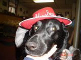 DSC03776.JPG