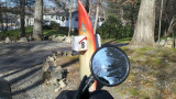 2011-12-13_10-35-54_952.jpg