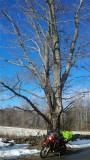 2012-01-24_10-41-55_150 (Small).jpg