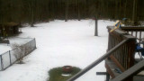 2012-01-31 08:09