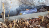 2012-03-12_13-35-10_859 (Small).jpg