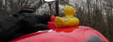 SDC11160.jpg