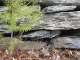 SDC11166.jpg